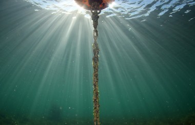 Daniel Strub, underwater photographer